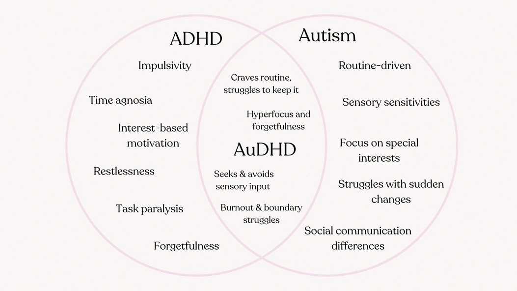 Venn-diagram ter vergelijking van ADHD, autisme en AuDHD. Kenmerken van ADHD, autisme en de overlap in AuDHD zoals hyperfocus en burn-out.